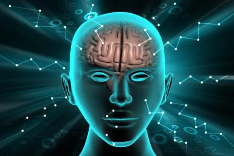 Brain development concept Stock Illustration