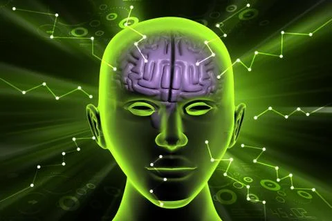 Brain development concept Stock-Illustration