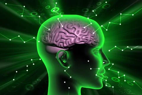 Brain development concept Stock Illustration