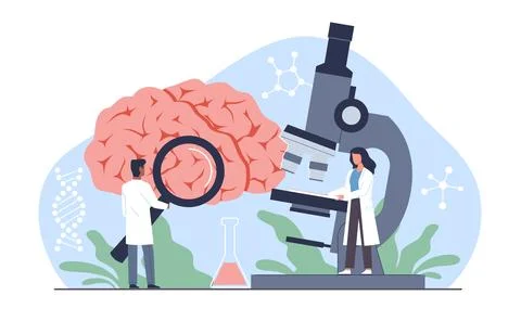 Brain diagnostics and research, doctors examine and consultation, analyze brain Stock Illustration