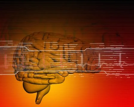 Brain in digital background Stock Illustration