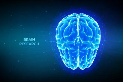Brain. Digital brain. Human brain research medical science technology concept Stock Illustration