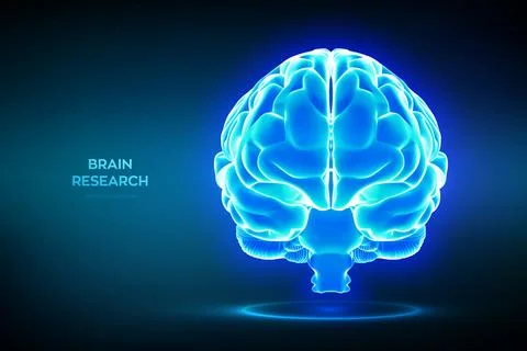 Brain. Digital brain. Human brain research medical science technology concept イラスト素材