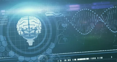 Brain digital display data 스톡 동영상 347293852