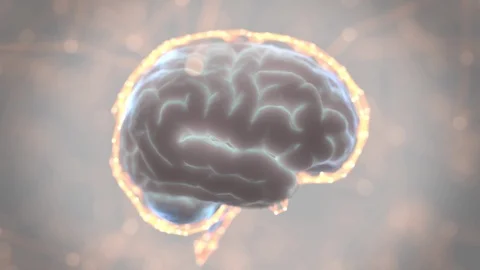 Brain Digital Scanning Loop Stock Footage 103520695