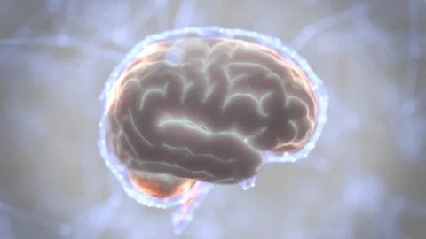 Brain Digital Scanning Loop Stock Footage 103520944