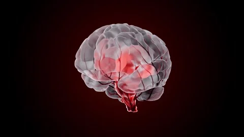 Brain digital translucent. Neuron connections. Stock Footage 302881083