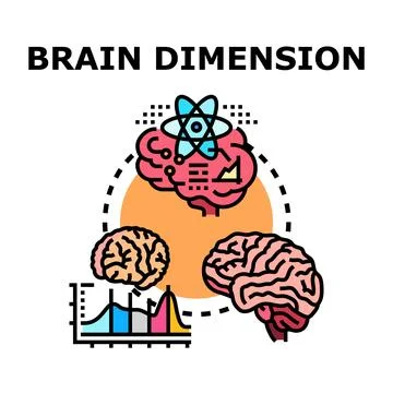 Brain dimension concept representing intellect and knowledge 库存插图