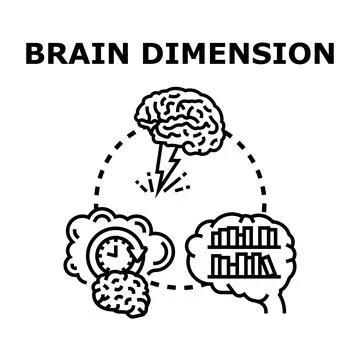 Brain dimensions exploring human thinking and memory Stock Illustration