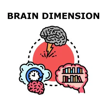 Brain dimensions exploring human thinking and memory Stock Illustration