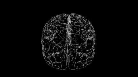 Brain drawing Stock Illustration