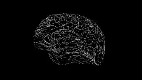 Brain drawing Stock Illustration