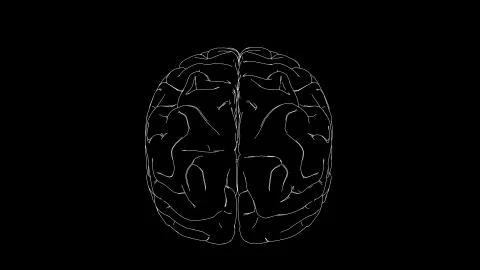 Brain drawing Illustrazione stock