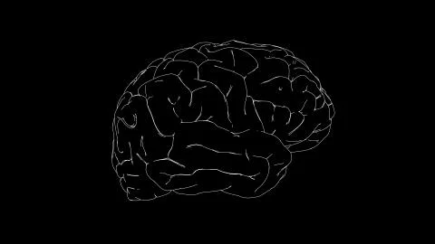 Brain drawing Stock Illustration