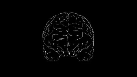 Brain drawing Stock Illustration