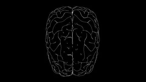 Brain drawing Stock Illustration
