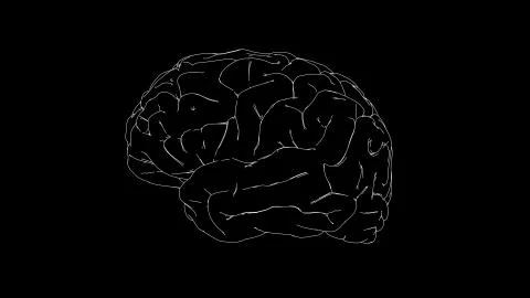 Brain drawing illustration Stock Illustration