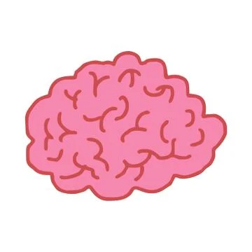 Brain drawing isolated. Brains bends on white background Stock Illustration