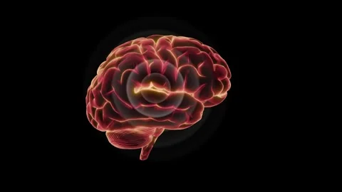 Brain emitting concentric circles. 3d animation render Stock Footage 243933070