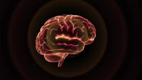 Brain emitting concentric circles. 3d animation render Stock Footage 243933074