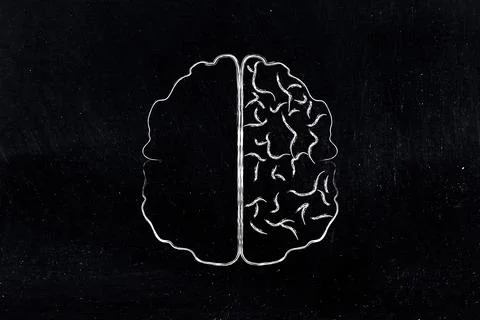 Brain with empty left side and right side with cortex Stock Photos