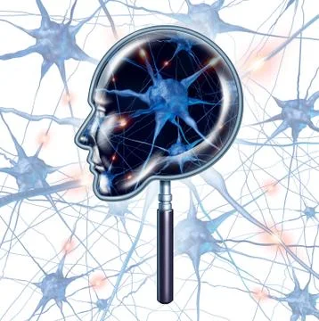 Brain exam Stock Illustration