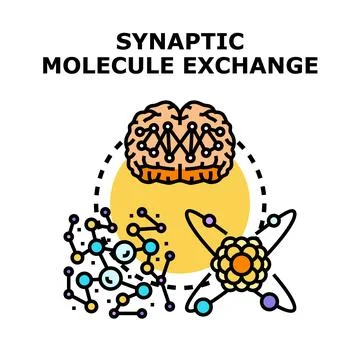 Brain exchanging synaptic molecules in neural network research Stock Illustration