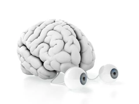 Brain with eyes Stock Illustration