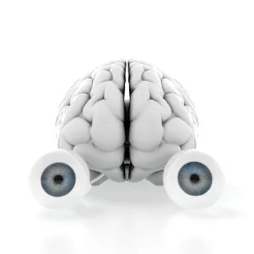 Brain with eyes Stock Illustration