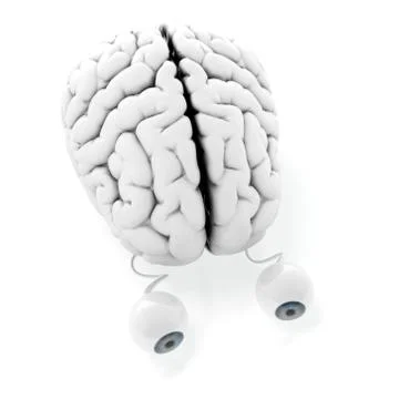 Brain with eyes Stock Illustration