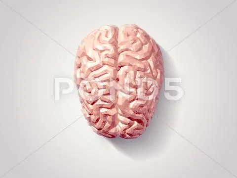Brain faceted Stock Illustrationen