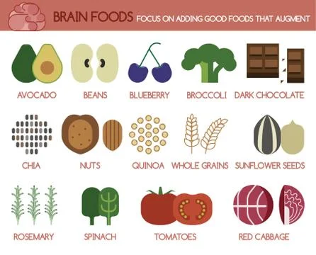 Brain foods focus on adding good foods that augment Stock Illustration