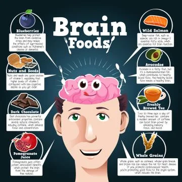 Brain Foods Stock Illustration
