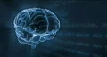 Brain HD Footage