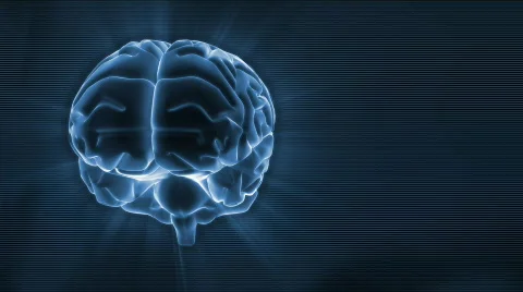Brain Vidéo 332708