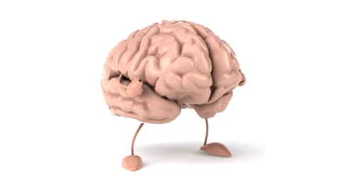 Brain Stock Footage 2396450