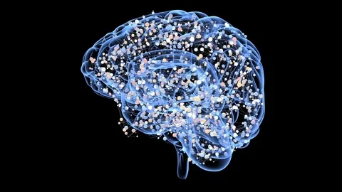 Brain Vidéo 79553624