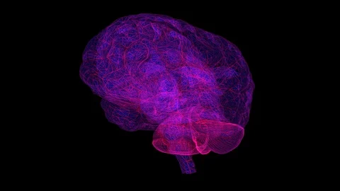 Brain Stock Footage 89870545
