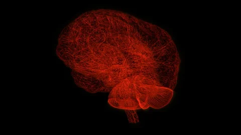 Brain Stock Footage 89870579