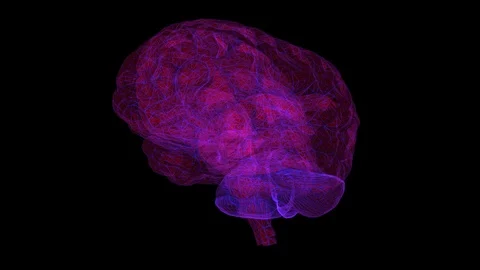 Brain Stock Footage 89870585