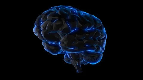 Brain Stock Footage 89870704