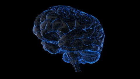 Brain Video stock 89870732