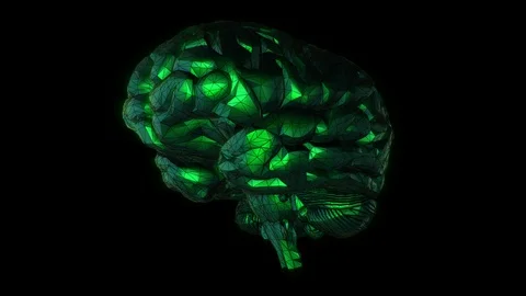 Brain Stock Footage 89870743