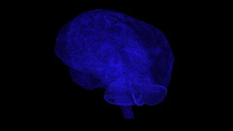 Brain Stock Footage 89870744
