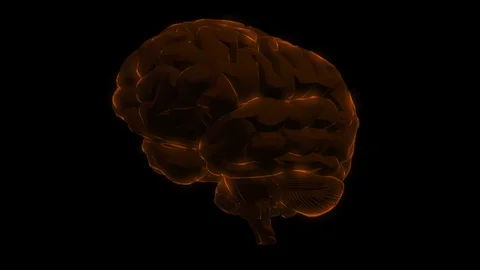 Brain Stock Footage 89870837