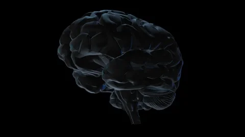 Brain Stock Footage 89870847