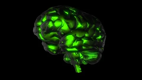 Brain Stock Footage 89870852