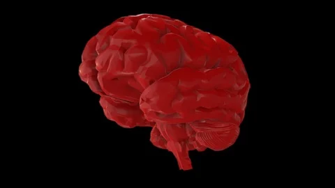 Brain Stock Footage 89870862