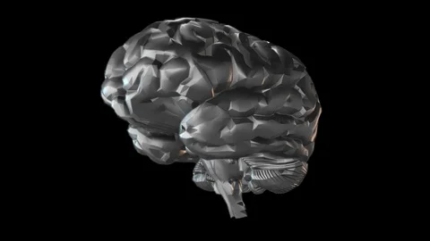 Brain Stock Footage 89870952