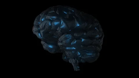 Brain Stock Footage 89871068